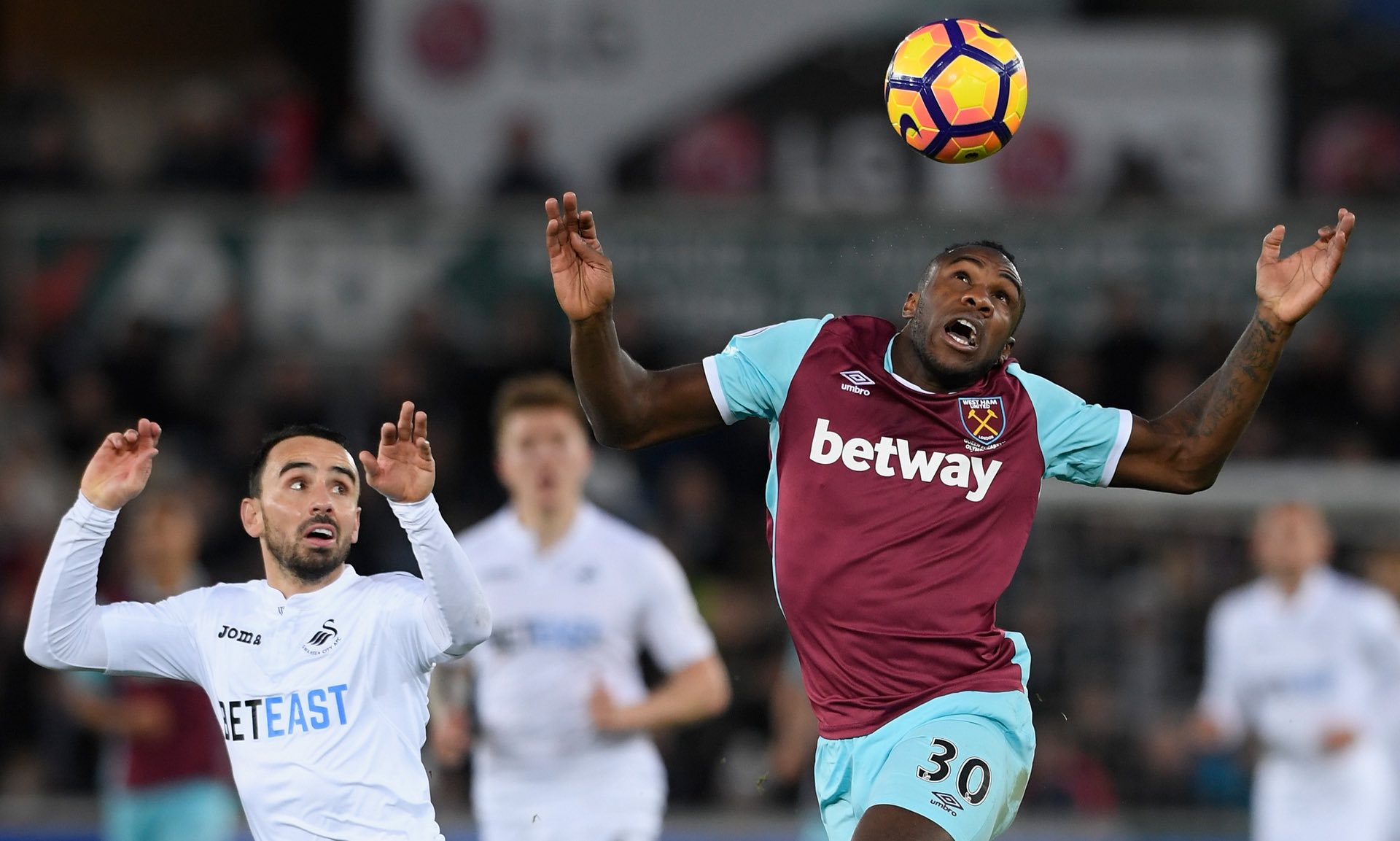 他选择租借 他选择租借