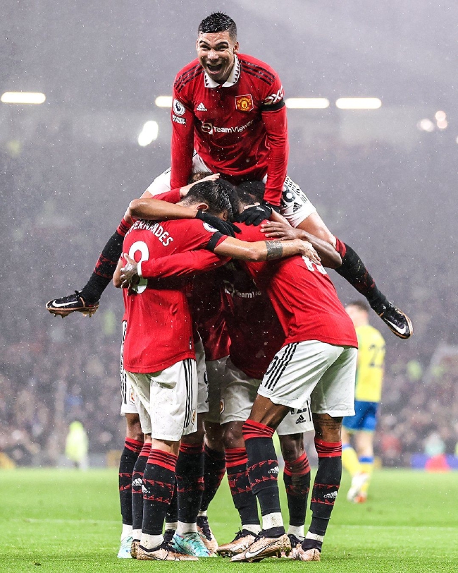 的观赏性和 的观赏性和